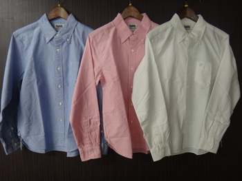 フェローズ　定番ボタンダウンシャツ入荷