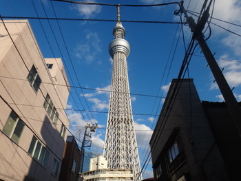 展示会に行ってきました。