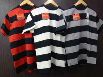 クッシュマン　ボーダーTシャツ入荷