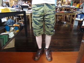 リアルマッコイ　TIGER TADPOLE　Shorts