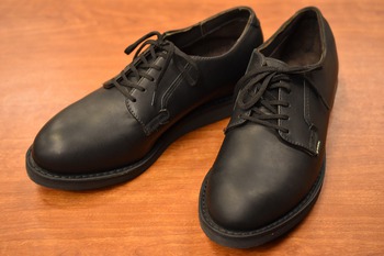 REDWING　RW9183　ポストマン　ゴアテックス
