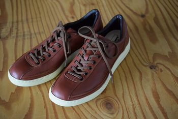 デラックスウエア プロラインリミテッド リアルブラウン入荷