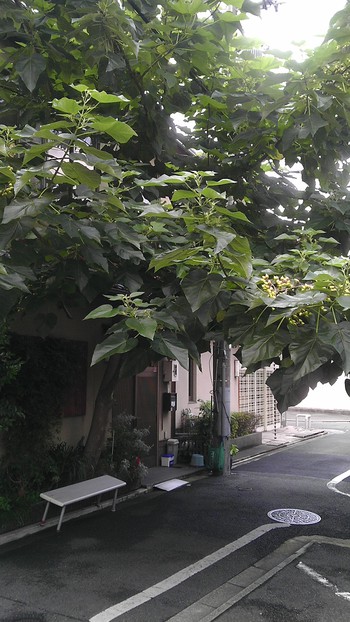 京都にいってきました