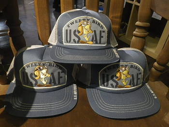 トイズマッコイ　メッシュキャップUSAF　”TWEETY BIRD”　再入荷