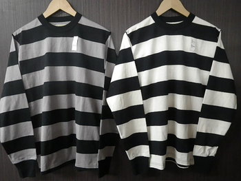マットソン　ボーダーロンT　入荷