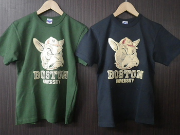 ジェラード　BOSTON フロッキーTシャツ　ご紹介
